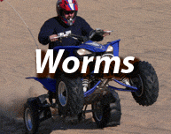 Fahrerlebnisse in Worms